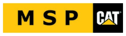 MSP (CAT)